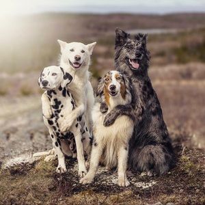 Meet your Posher, Cecilia